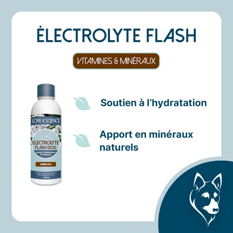 Electrolyte Flash Dog - 75 assimilable minerals for dogs - Lore & Science